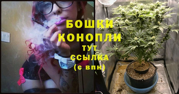 PSILOCYBIN Алзамай