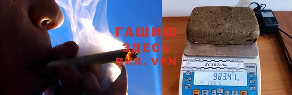 PSILOCYBIN Алзамай