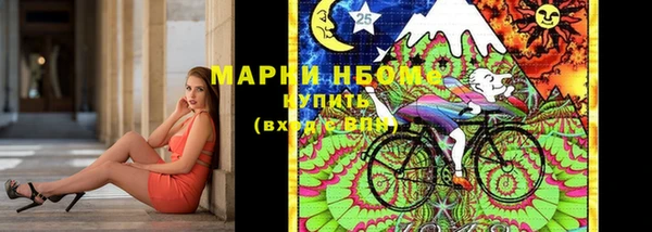 PSILOCYBIN Алзамай