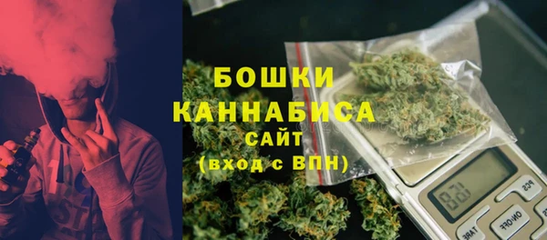 PSILOCYBIN Алзамай