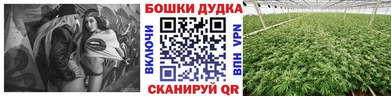 Каннабис Bruce Banner  закладка  Павловская 